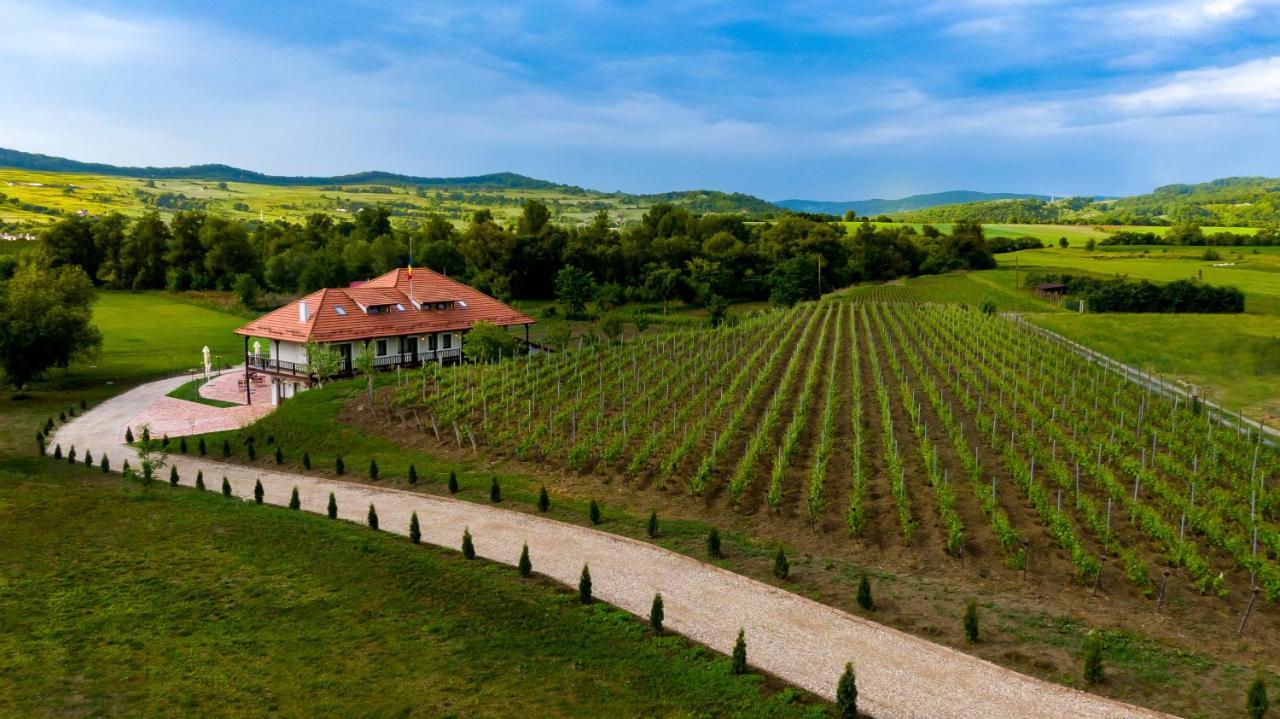 Pensiunea Sonnenhof Sighişoara Exterior foto